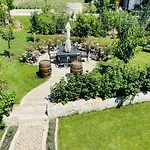 Vineyard19 *