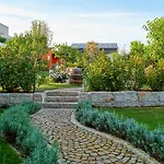 Vineyard19 *