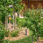 Vineyard19 Apartament