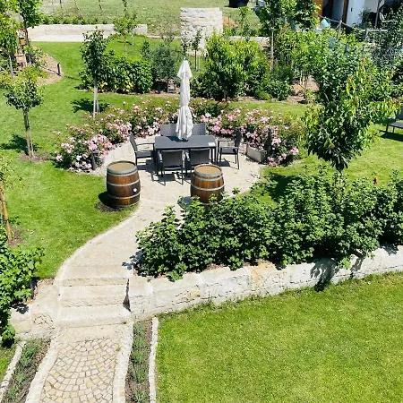Vineyard19 *