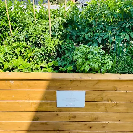 Apartamento Vineyard19