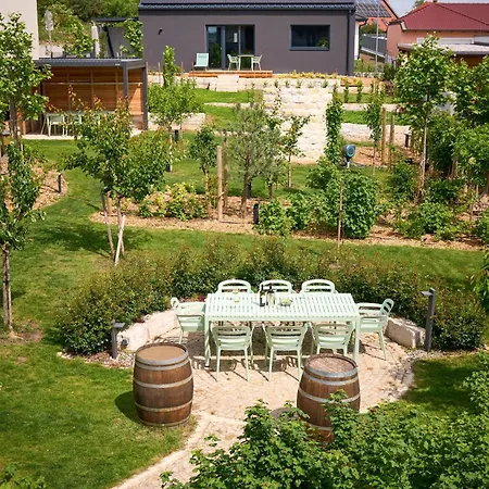 Vineyard19 Apartament *