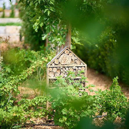 Vineyard19 Apartament