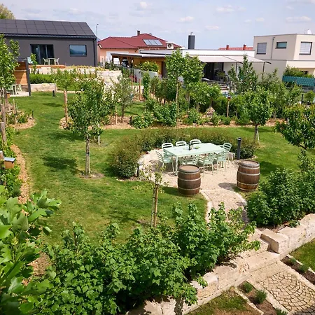 Vineyard19 * Retz