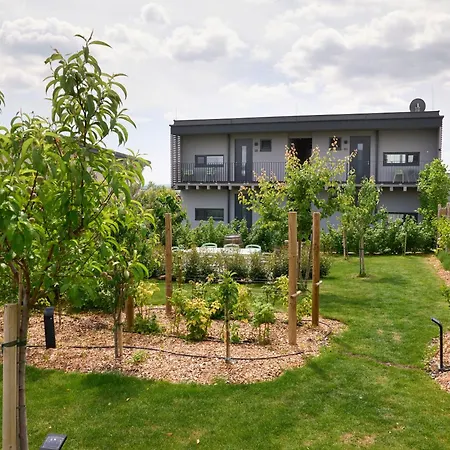 Apartment Vineyard19