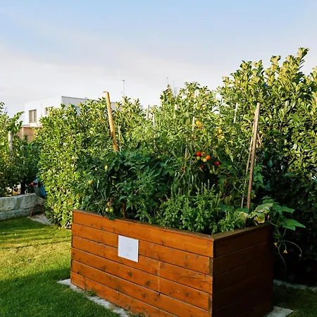 Vineyard19 Apartament Retz