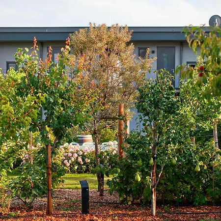 Apartament Vineyard19