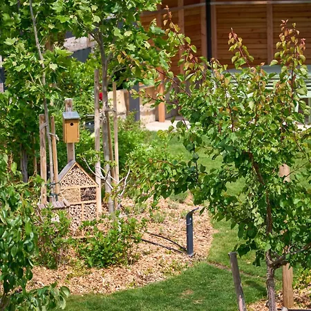 Vineyard19 Apartament