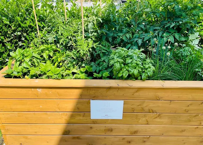 Apartment Vineyard19