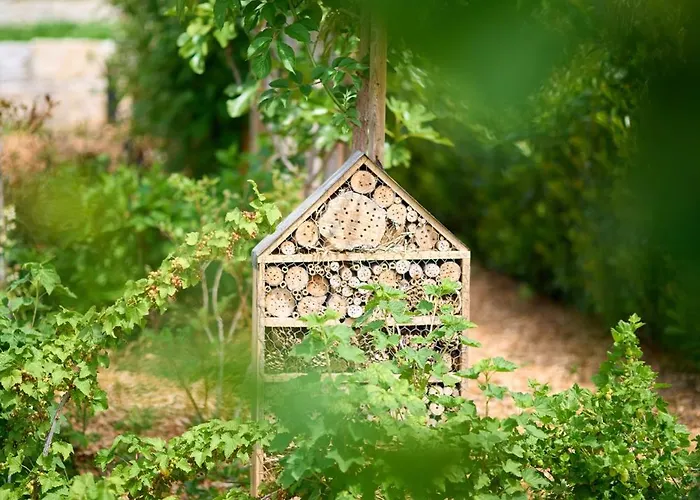 Vineyard19 Apartment