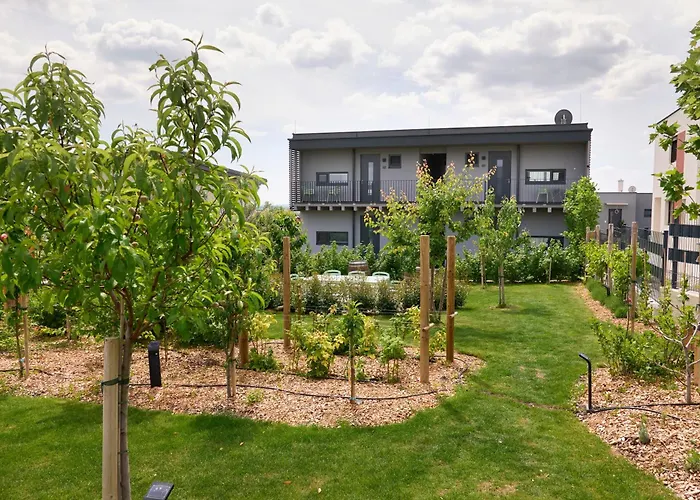 Apartment Vineyard19