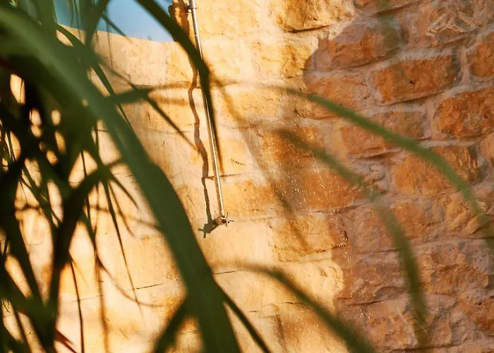 Vineyard19 Apartment Retz