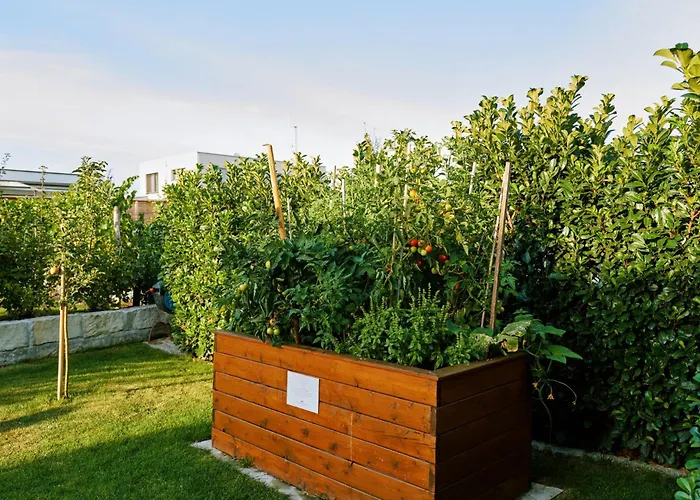 Vineyard19 Apartment Retz