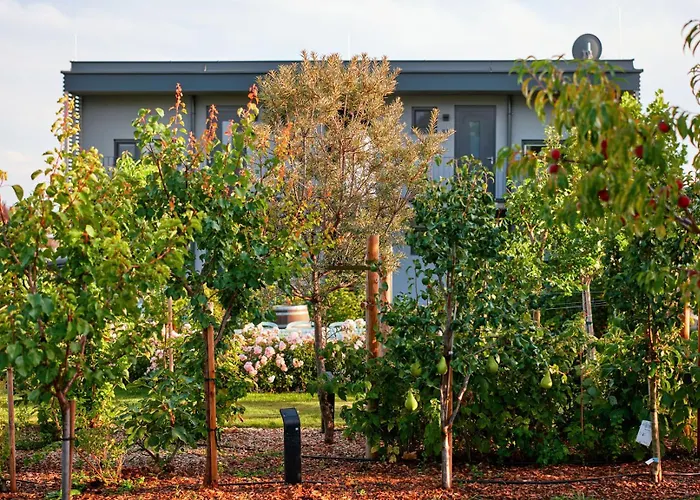 Apartment Vineyard19