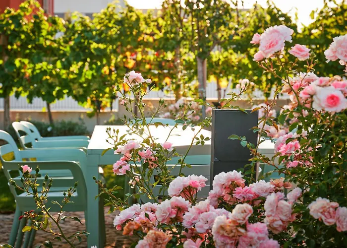 Vineyard19 Apartment *