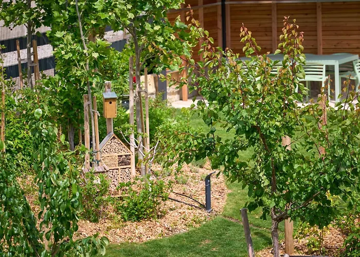 Vineyard19 Apartment